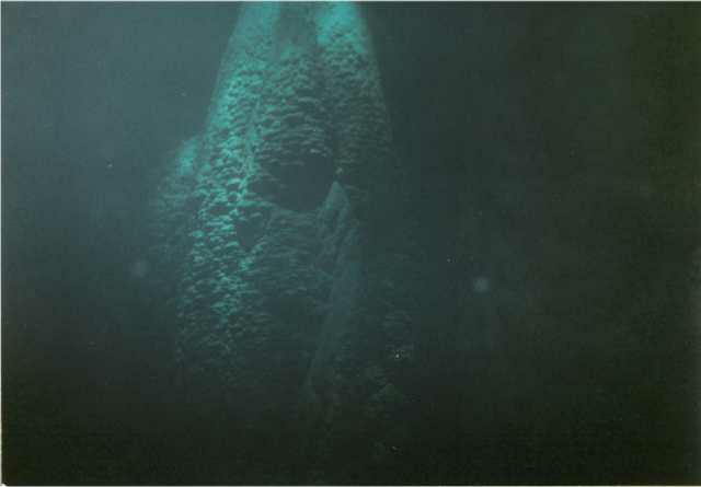 Foto0006