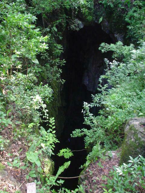 DSC06041