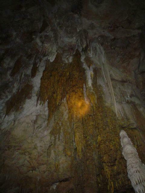 DSC06082