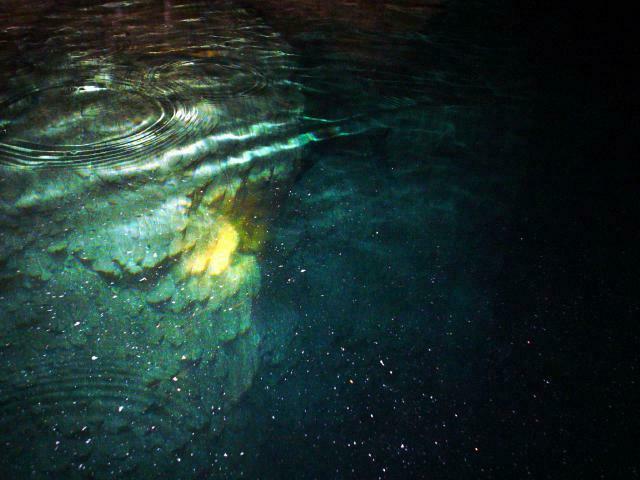 DSC06095