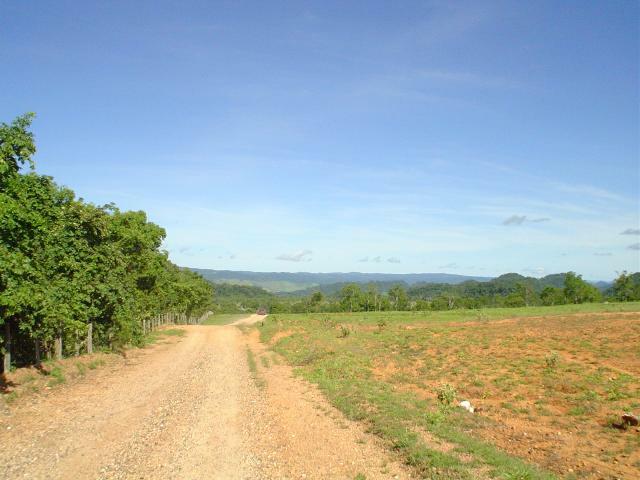 DSC06176