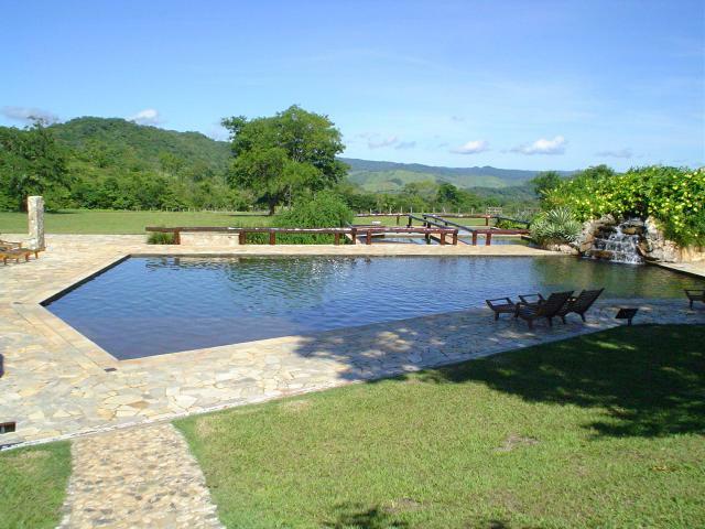 DSC06184