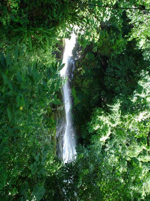 DSC06188