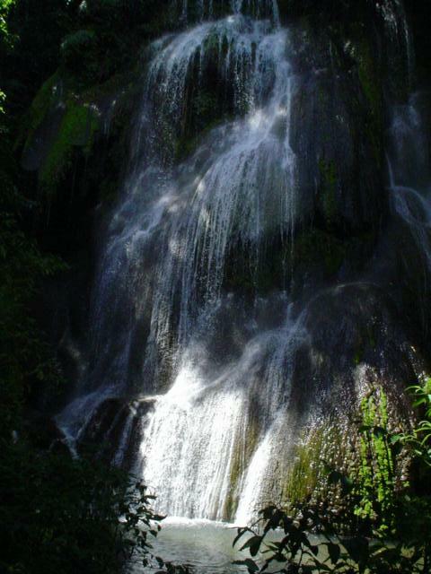 DSC06193