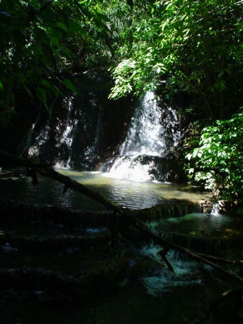 DSC06204