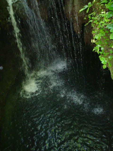 DSC06210
