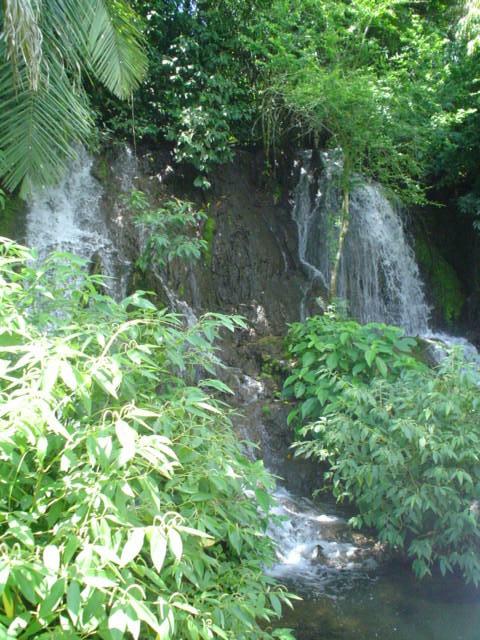 DSC06219