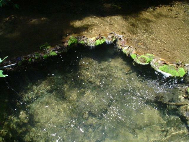 DSC06220