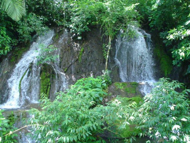 DSC06221