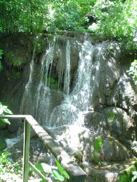 DSC06229