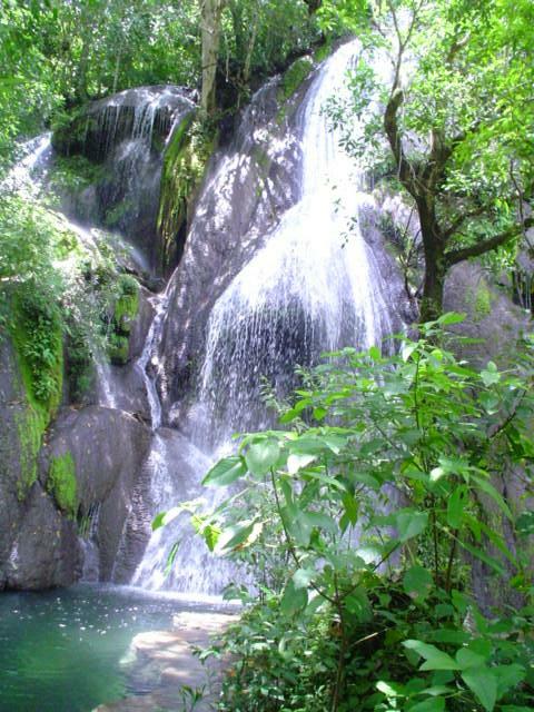 DSC06231