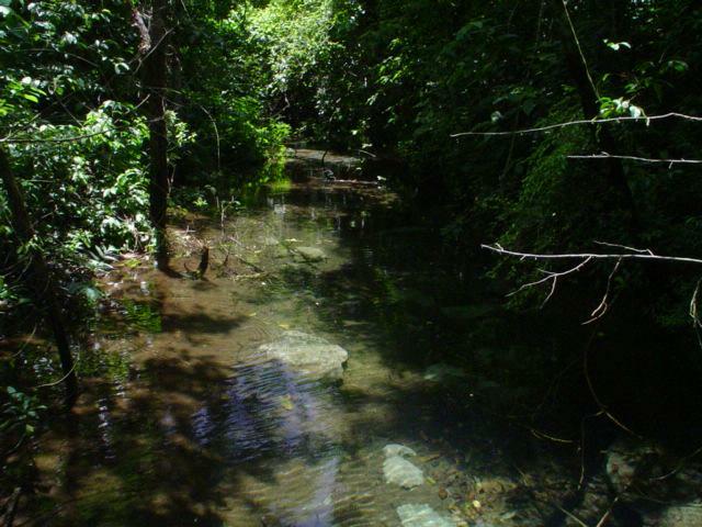 DSC06242