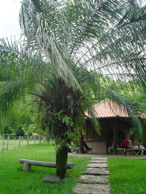 DSC06245