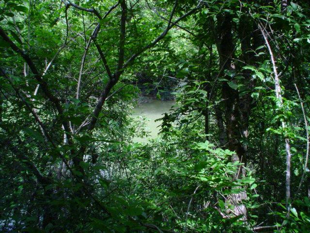 DSC06246