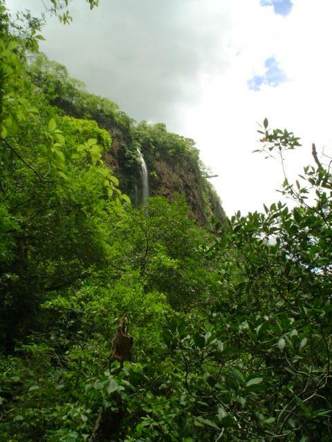 DSC06256