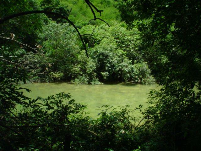 DSC06257