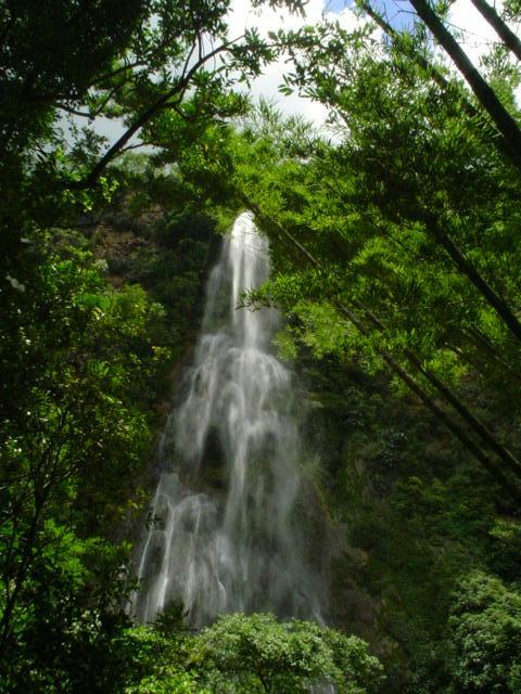 DSC06264