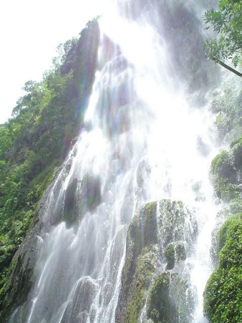 DSC06277