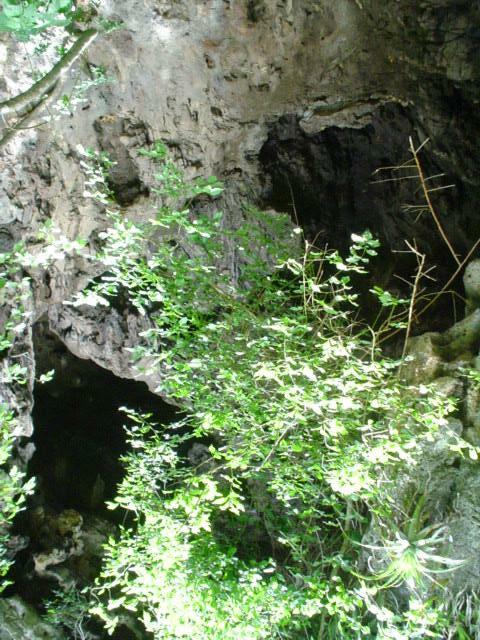 DSC06284