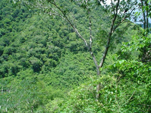 DSC06287