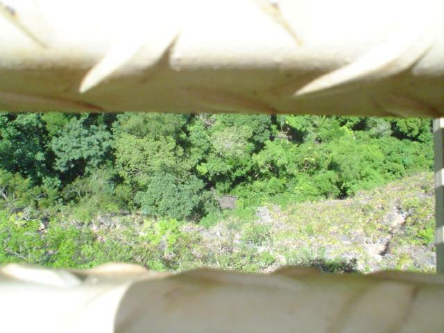 DSC06291