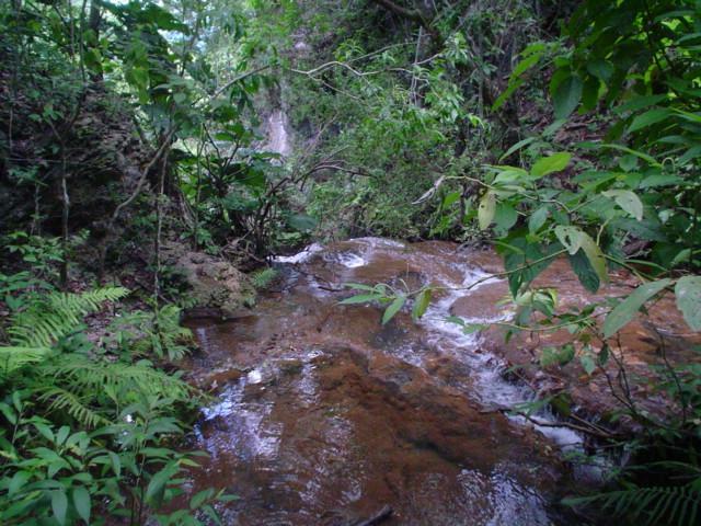 DSC06297