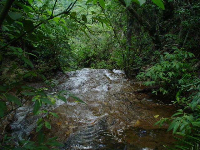DSC06298