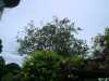 DSC06007