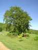 DSC06178