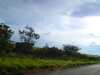 DSC05955