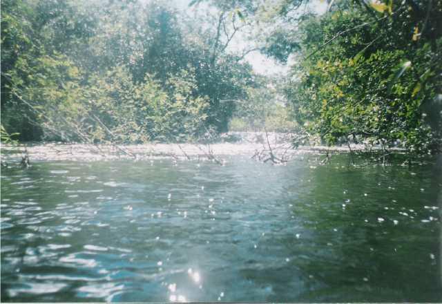 Foto2002