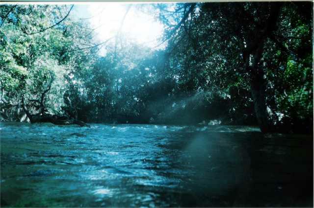 Foto2003