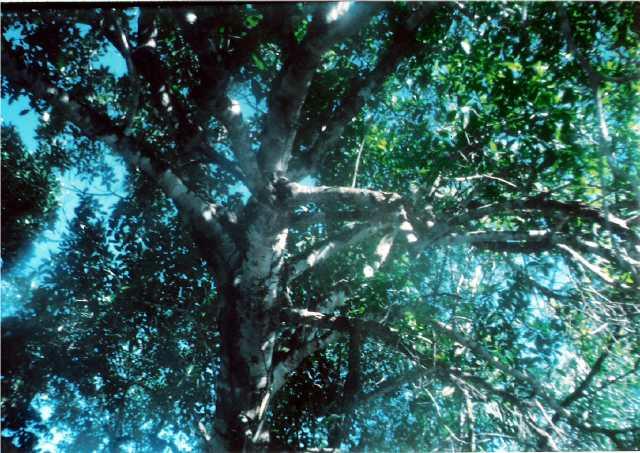 Foto2004