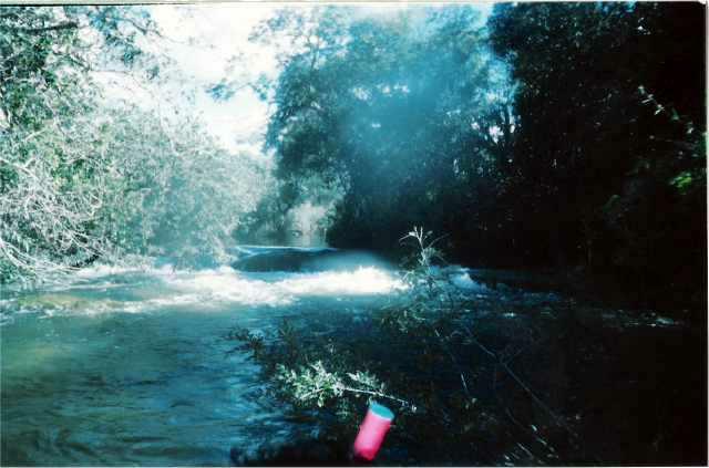 Foto2005