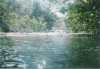 Foto2002