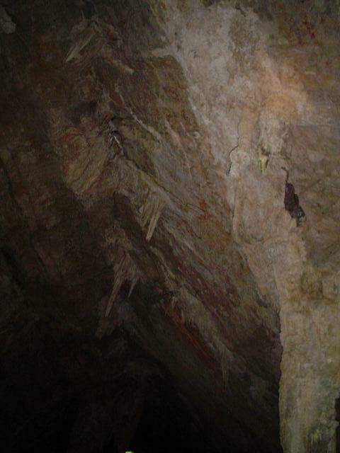 DSC05978