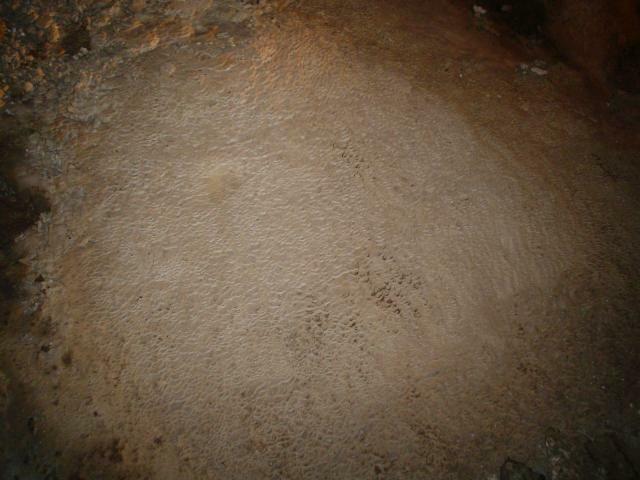 DSC05980