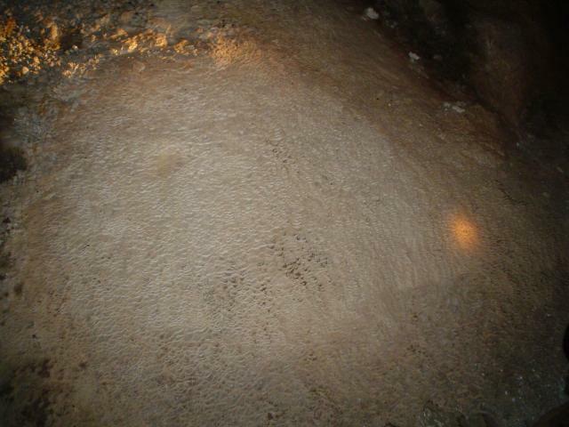 DSC05981