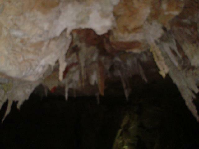 DSC05986