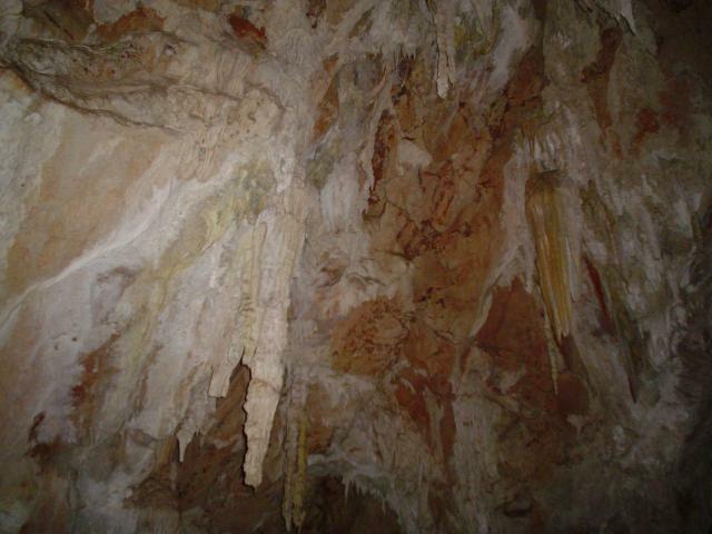 DSC05987