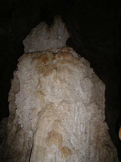 DSC05990