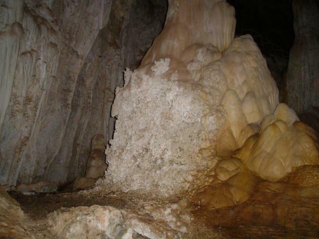 DSC05991