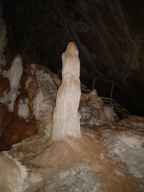 DSC05992