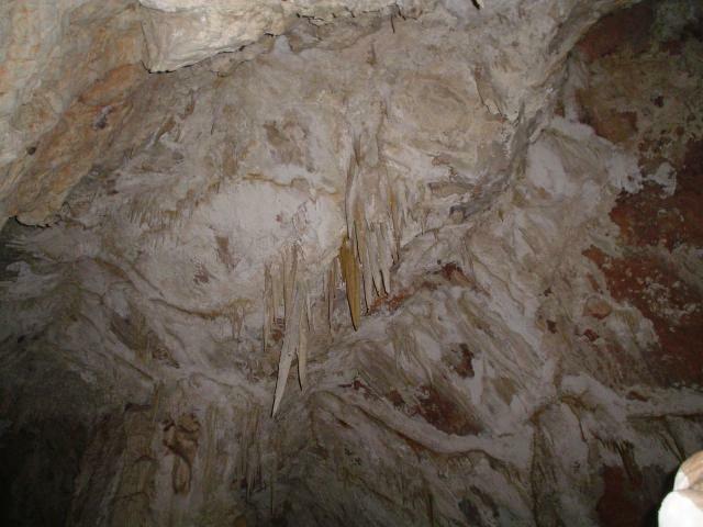 DSC05996