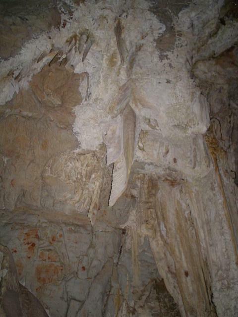 DSC05997