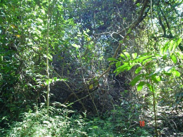 DSC03176