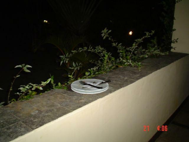 DSC02179