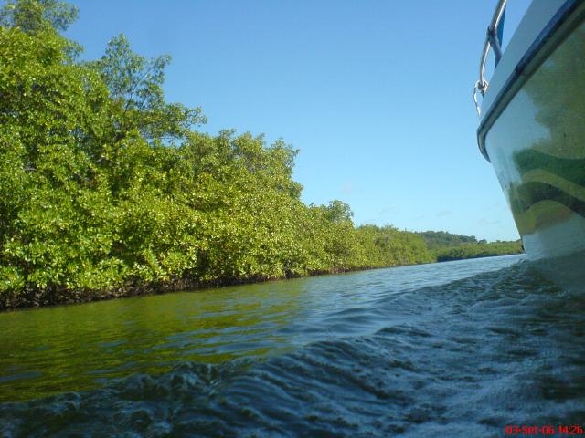 DSC01890