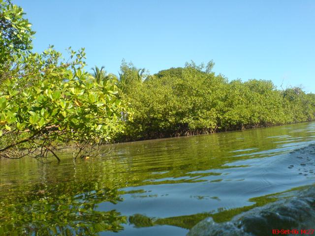 DSC01892