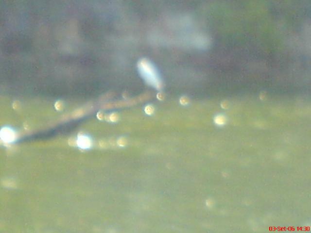 DSC01895